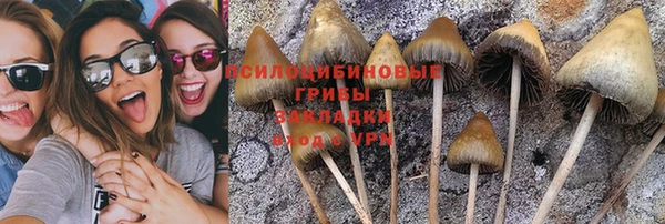 mix Алексин