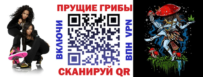Псилоцибиновые грибы Cubensis  мега зеркало  Чернушка 