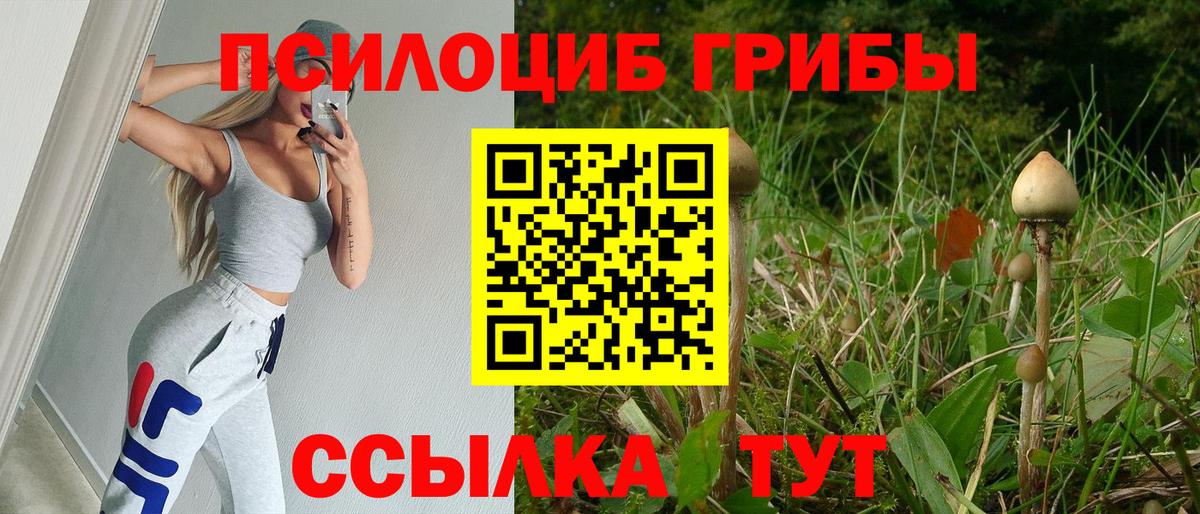 Псилоцибиновые грибы прущие грибы Чернушка